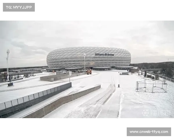 暴风雪“埃莉”袭德国北部，多场德甲因场地积雪延期
